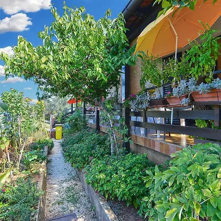 게스트하우스 Veli Vrh 2208 3*