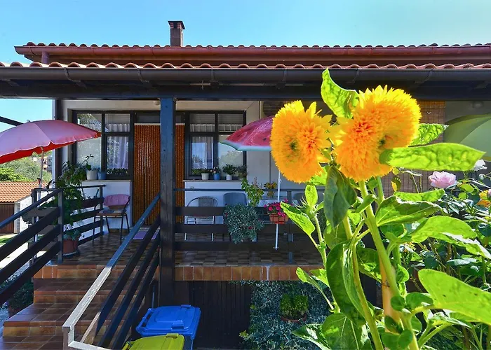 Casa de hóspedes Veli Vrh 2208 Pula