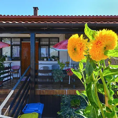 Pensjonat Veli Vrh 2208 Pula